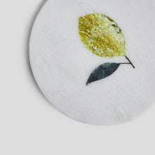 Load image into Gallery viewer, Coasters - Lemon Series
