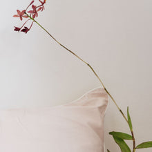 Load image into Gallery viewer, Marshmallow Cloud Quilt Cover Set