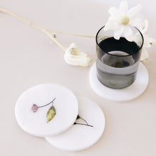 Load image into Gallery viewer, Coasters - Lemon Series