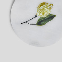 Load image into Gallery viewer, Coasters - Lemon Series

