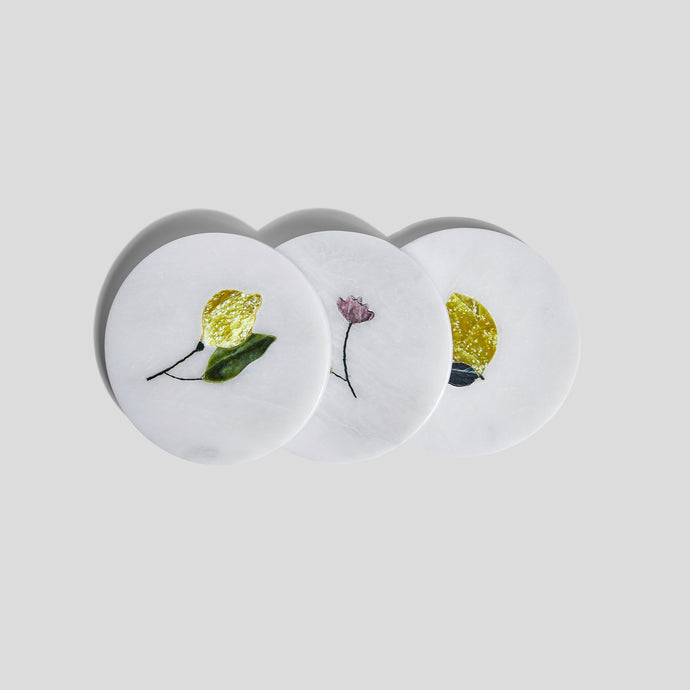 Coasters - Lemon Series